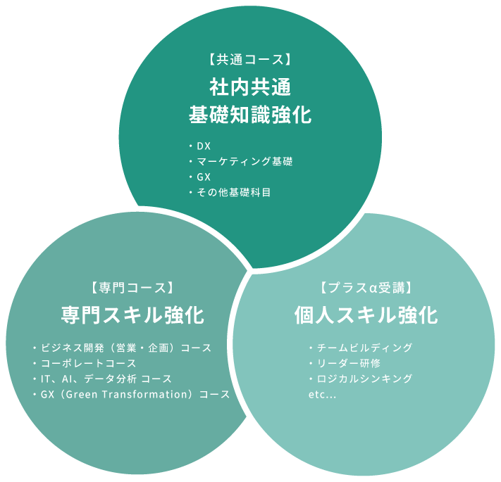 カリキュラムイメージ