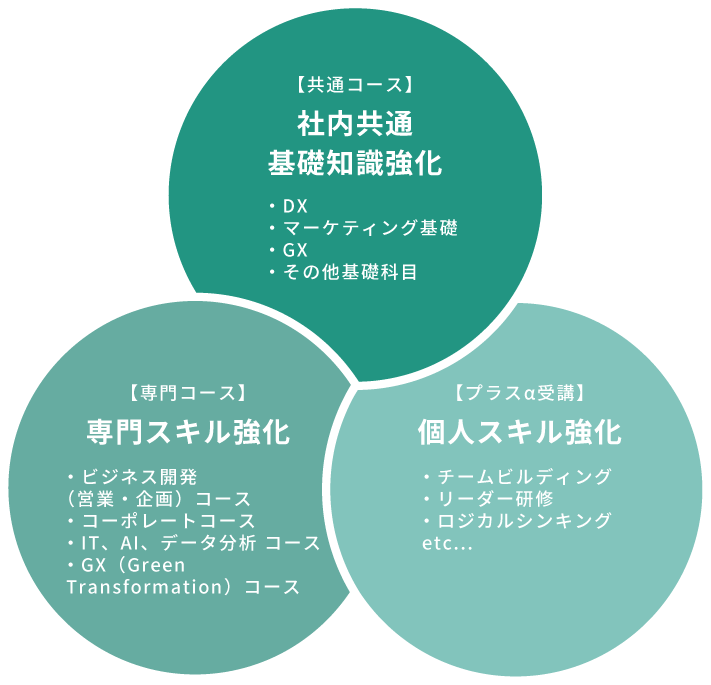 カリキュラムイメージ